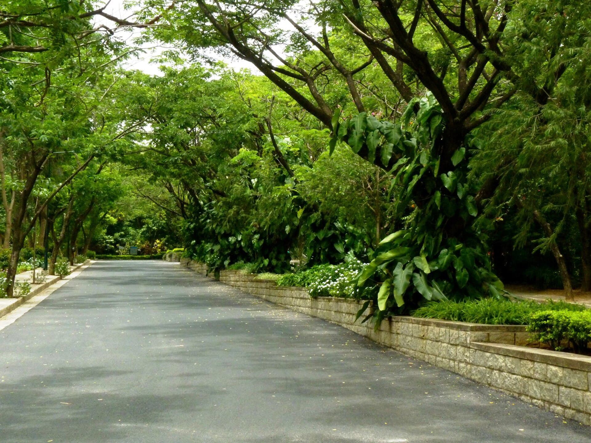 Indian Institute of Management Bangalore campus